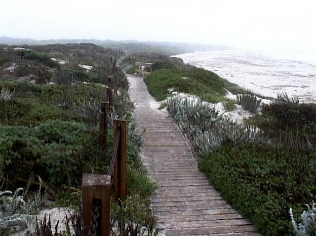 פסיפיק גרוב Beachcomber Inn מראה חיצוני תמונה
